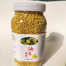 包邮【有假白送】青海油菜花蜂花粉天然高活性油菜纯花粉未破壁包