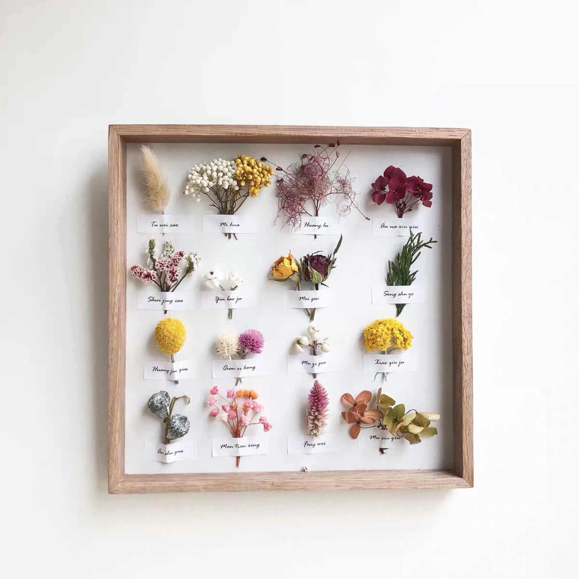 跨境干花永生花植物标本装饰挂画立体北欧ins花家居复古画框diy