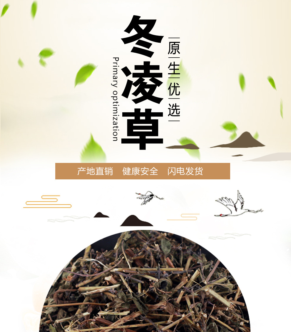 冬凌草 散装中药材店铺冬凌草茶冰凌草 六月令500g包邮中草药大全