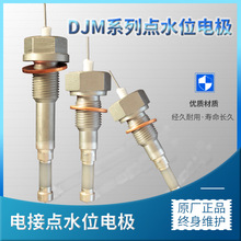 太仓仪表水位电极锅炉电接点水位计电极液位DJM1615-87/95/115