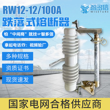 生产RW12-12/100A户外高压跌落式熔断器10KV陶瓷式200A令克保险丝