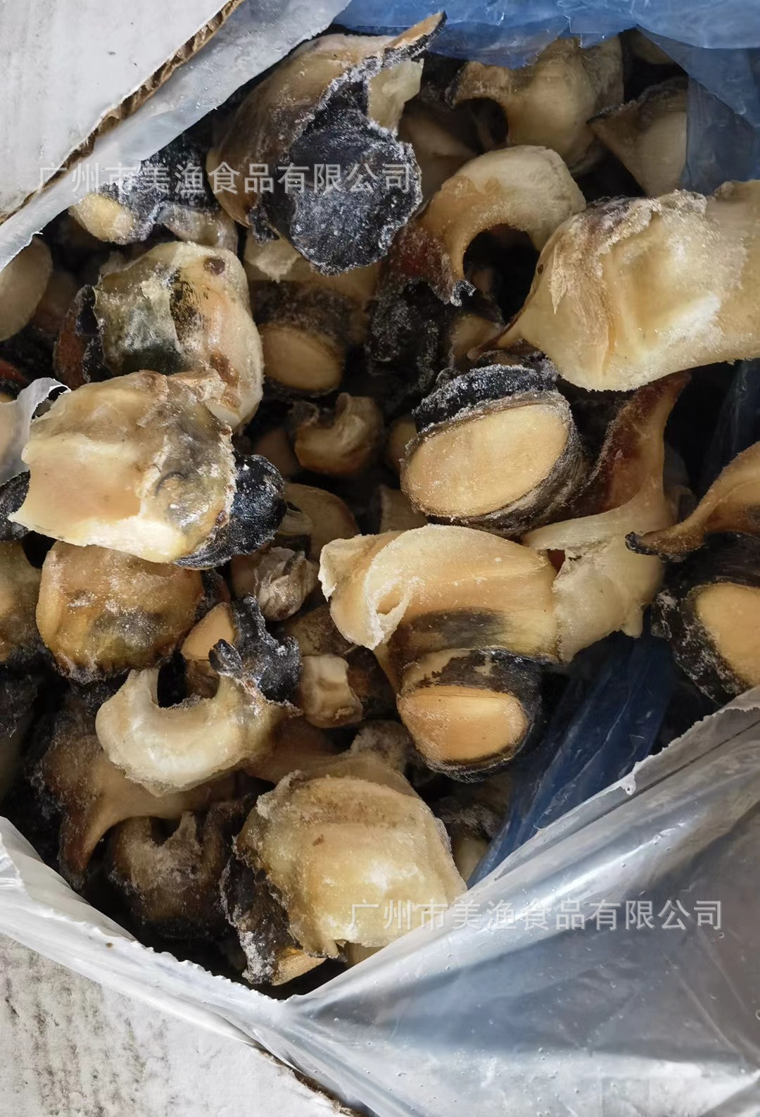 西非海螺头 美国刺身 大海螺肉 刺身大海螺肉响螺头m/l码 15kg/件