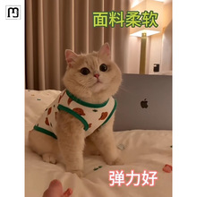 纳纶猫咪衣服防掉毛薄款英美短蓝猫布偶猫小型犬泰迪狗狗背心