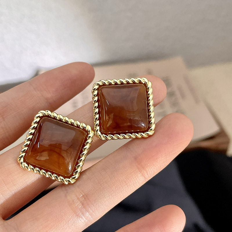 Maillard Brown Amber Earrings 2023 New Popular Hong Kong Style Ear Studs Women's Brown Light Luxury High-Grade Earrings