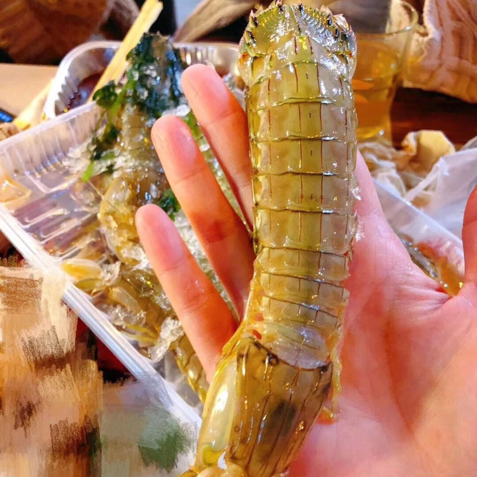 3斤包邮生腌虾爬皮皮虾醉虾生呛虾爬酱虾咸虾开袋即食濑尿虾