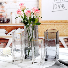 轻奢玻璃花瓶透明水培插花瓶家用摆设创意家居客厅餐桌装饰品摆件