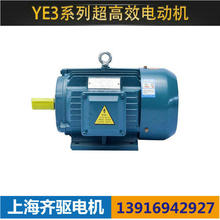 上海特殊功率1400转 YE3-132ML-9.2KW-4极三相异步电动机