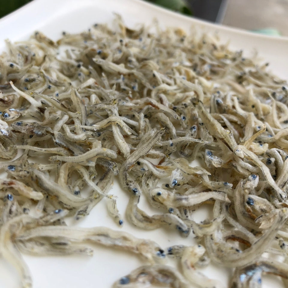 出口品质野生丁香鱼干福建东山岛特产淡晒小鱼干海燕鱼小银鱼干餐