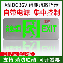 36v疏散指示灯自带电源a型应急照明集中电源安全出口指示灯牌敏华