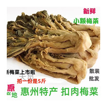 广东惠州矮陂特产梅菜芯 农家腌制5斤咸梅菜干扣肉原料梅干菜散装