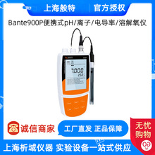 上海般特Bante900P便携式pH/离子/电导率/溶解氧仪多参数分析仪