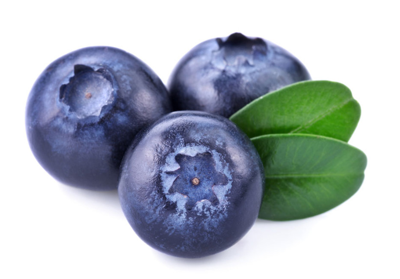 蓝莓粉 蓝莓果粉 水溶果粉花青素blueberry fruit powder1kg起售