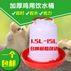 Raising chickens Automatic waterers Chicken drinking kettle bucket automatic Poultry dove Raising chickens equipment