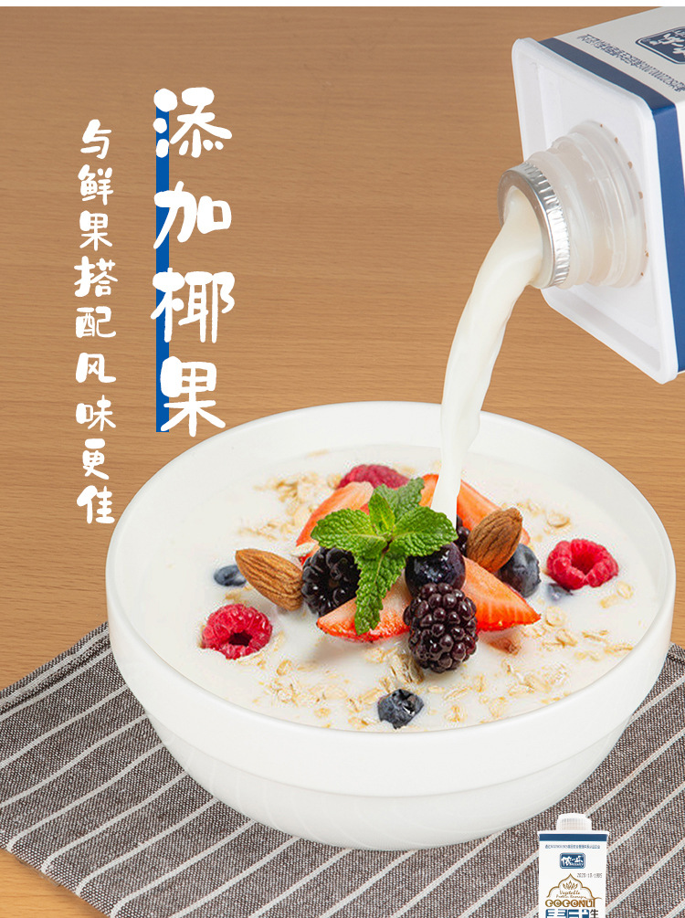 侬一点生榨果肉椰子汁(植物蛋白饮料)泰式1l 8*1l/箱 整箱销售