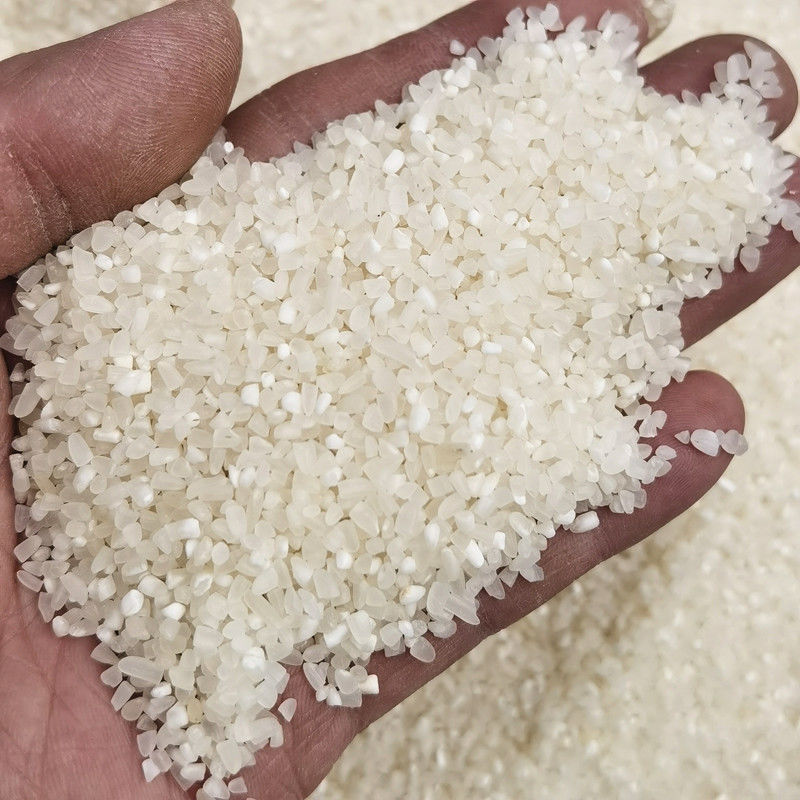 饲料原料碎米喂鸡碎大米低价小碎米批发喂鸭鹅狗猪钓鱼鱼饵打窝料