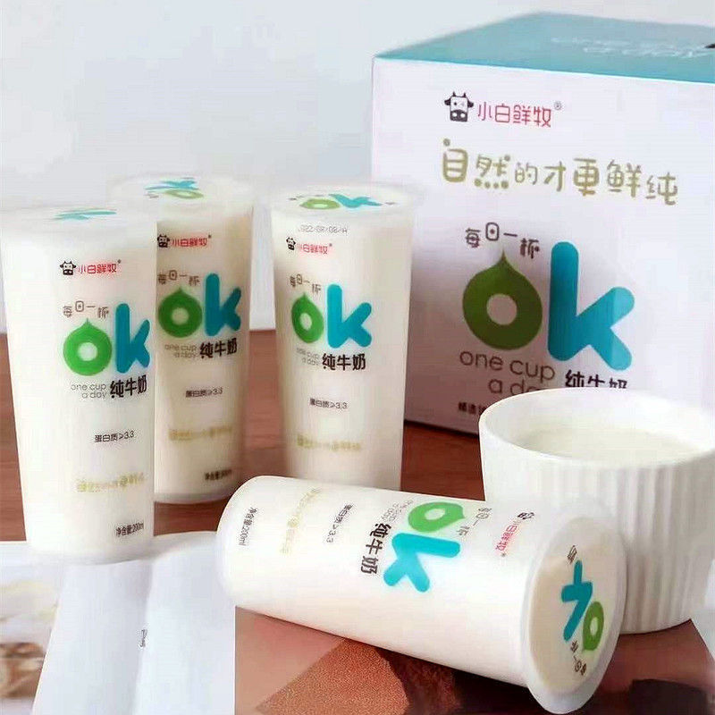 小白鲜牧纯牛奶ok奶网红透明杯装营养早餐奶200mlx10杯整箱-阿里巴巴