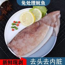 鱿鱼批发去头去内脏鱿鱼片新鲜速冻鱿鱼片身筒烧烤食材海鲜精致懒