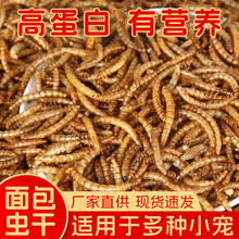 仓鼠粮食面包虫干黄粉虫鹦鹉八哥零食乌龟刺猬龙鱼鸟粮芦丁鸡饲料