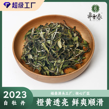 福鼎白茶2023年白牡丹白茶散茶花香蜜甜核心产区霁雪春工厂批发