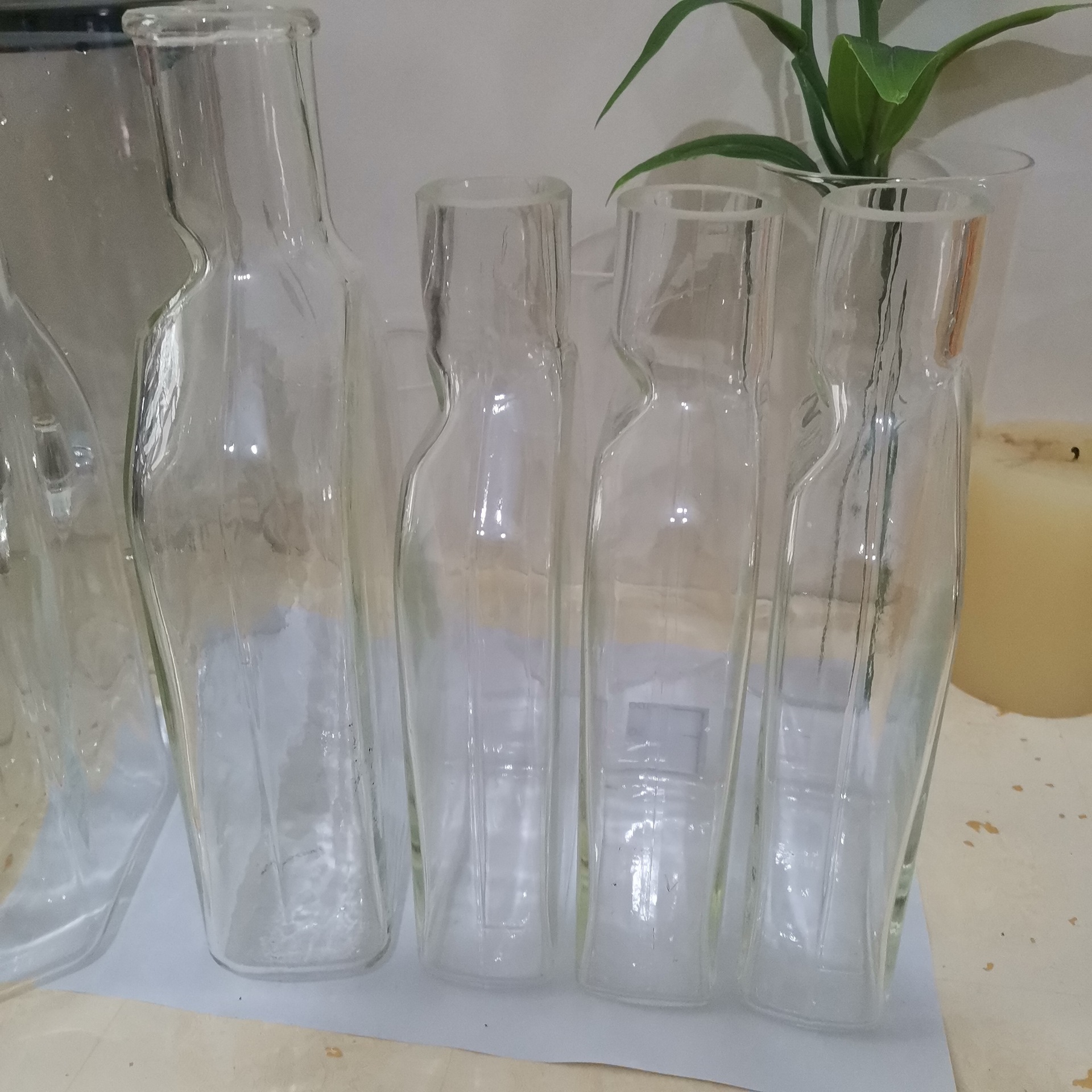 厂250ml 500ml 1000ml 实验室植物细胞组织培养瓶化学烧瓶克氏瓶