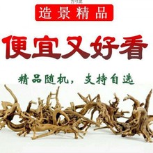 鱼缸造景沉木水缸妖精森林景观素材莫斯树形杜鹃根树枝厂一件批发