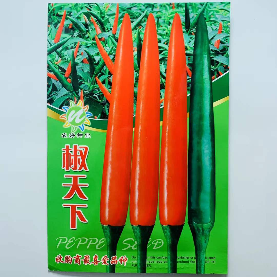 椒多多2号大果型朝天椒种子椒多多二号高出芽硬果高产最好种子