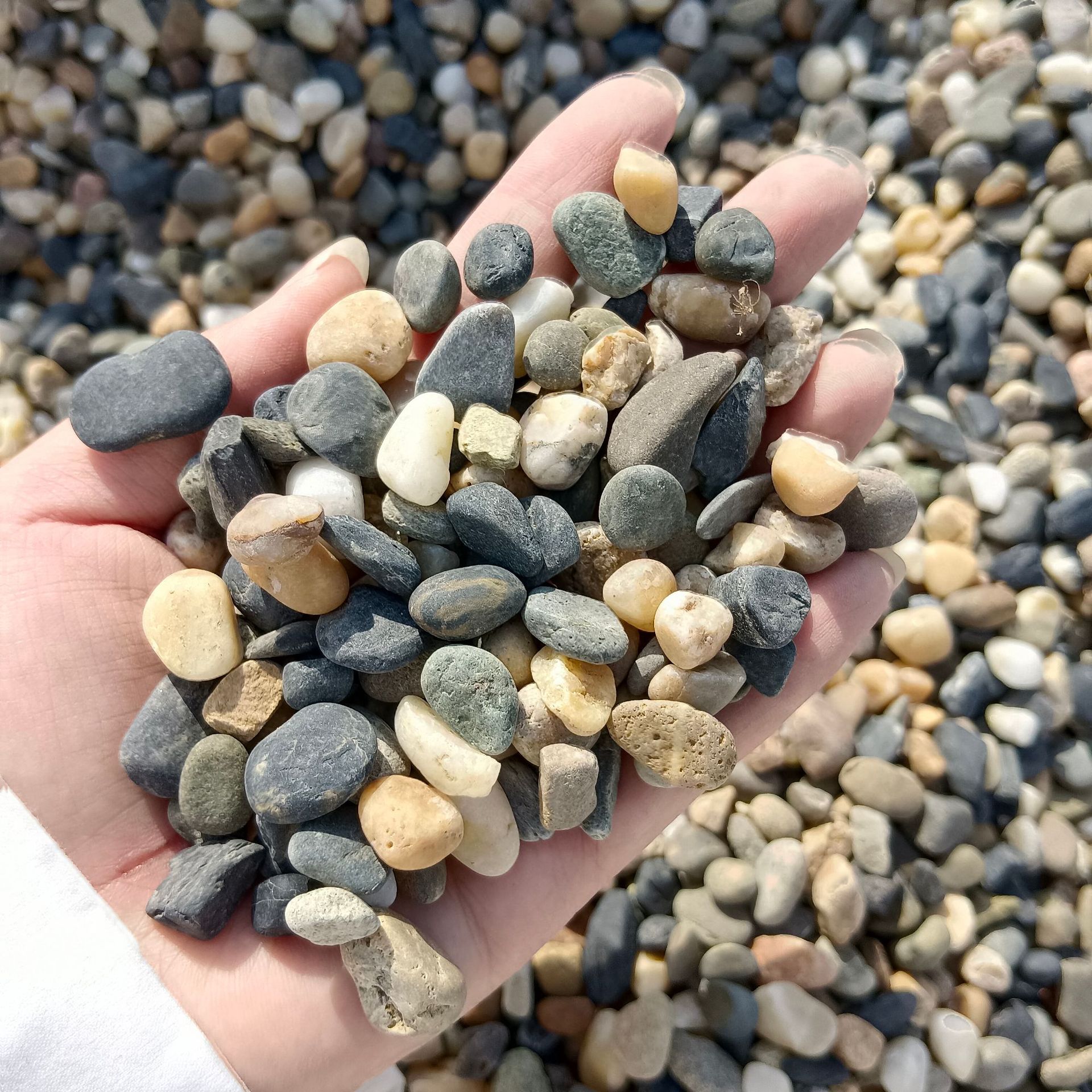 鹅卵石滤料 地暖回填豆石 矿场直发溪流石 鱼缸造景装饰用河卵石