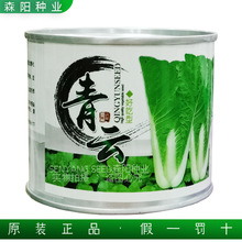 绿力青云好吃快菜种子籽四季速生苗用小德高白菜536快菜黄金快菜