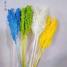 干花高粱穗 红高粱谷穗永生花花束批发 家居装饰拍摄道具插花摆件