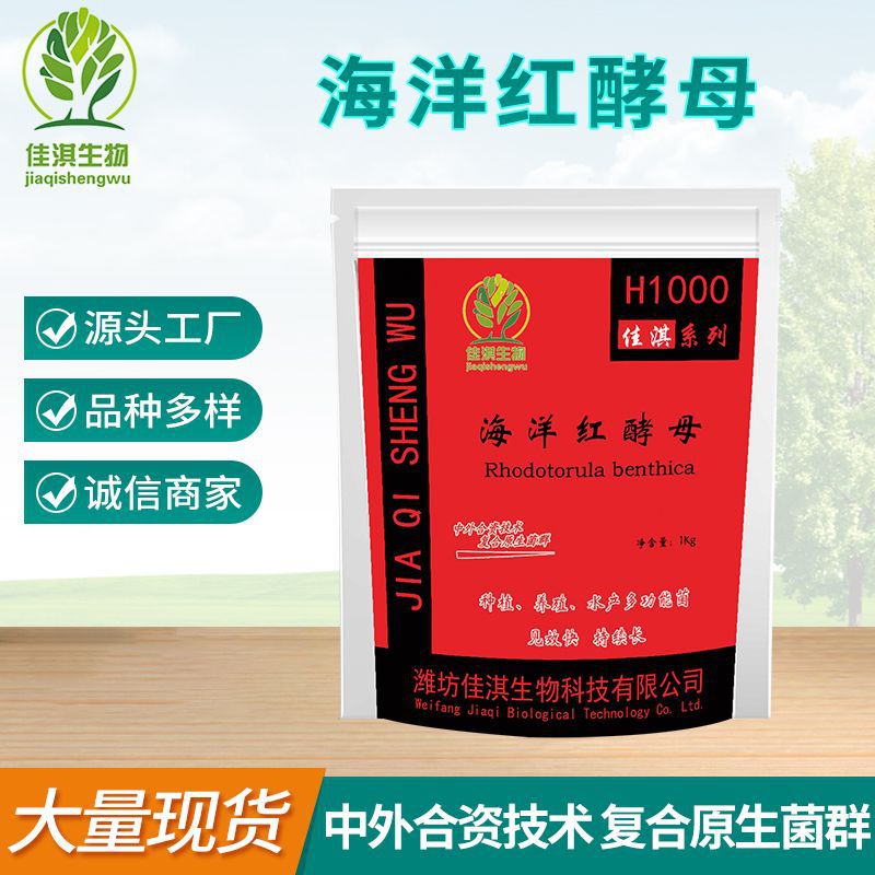 海洋红酵母 水产养殖饲料添加剂 100-1000亿含量微生物菌粉酵母菌