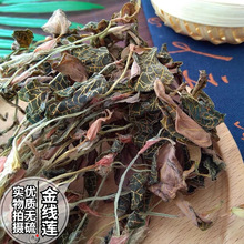 福建干货全株金线莲干品礼盒整株无碎500g可泡水泡茶煲汤食材纯叶