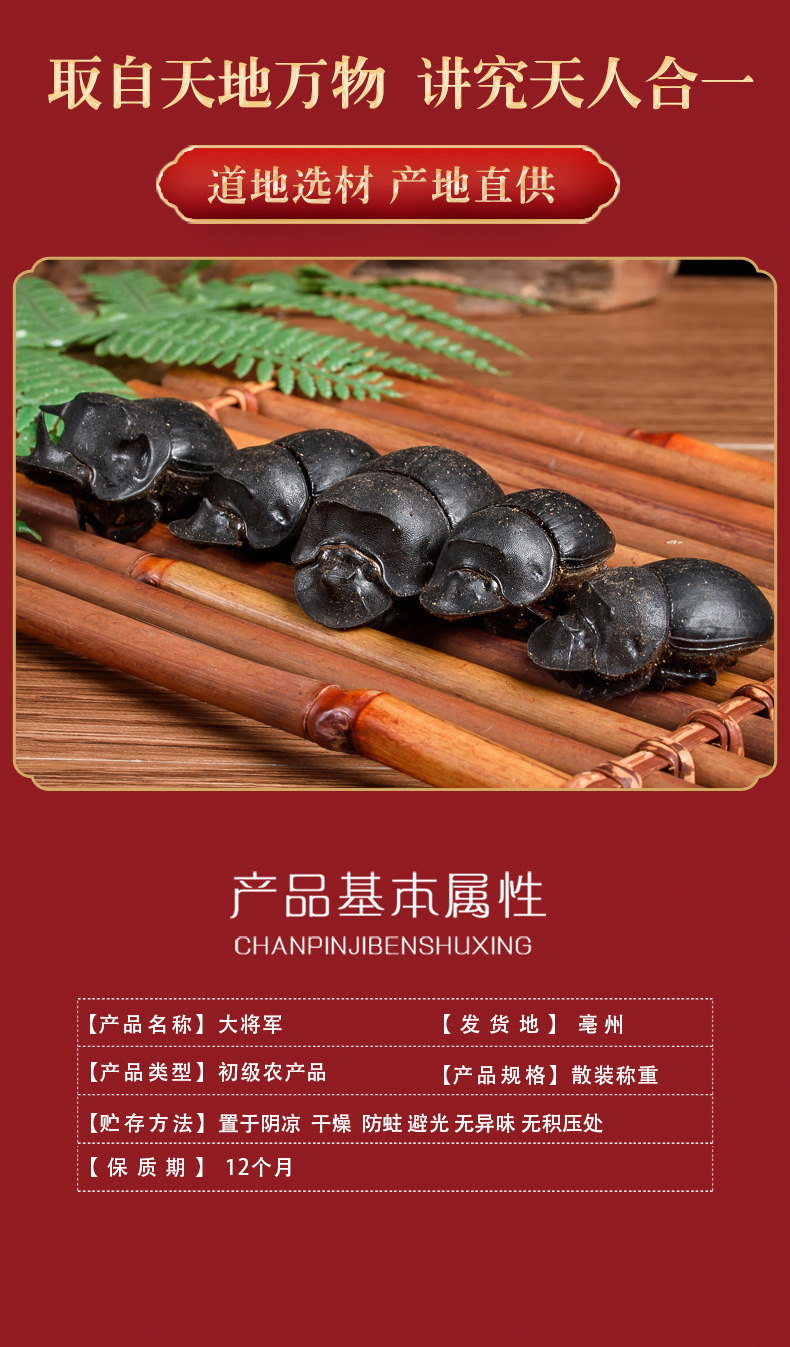 天音阁中药材大将军 蜣螂清水蜣螂屎壳支持药检 水洗货 无增重