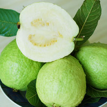 新鲜台湾红心番石榴5斤健身水果甜脆当季树上熟珍珠福建红心芭乐