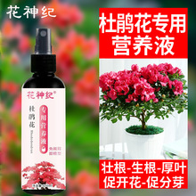 杜鹃花肥料免稀释专用肥营养液米兰盆栽家用花卉绿植通用型液体肥