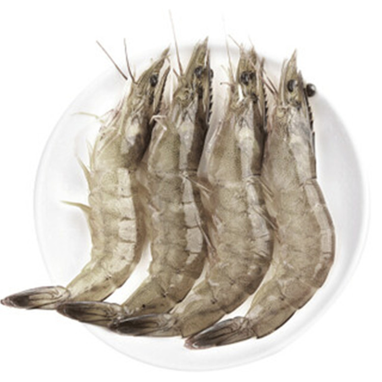 白对虾 白虾 国产南美白虾 活冻白虾 火锅 白灼 爆炒都适合