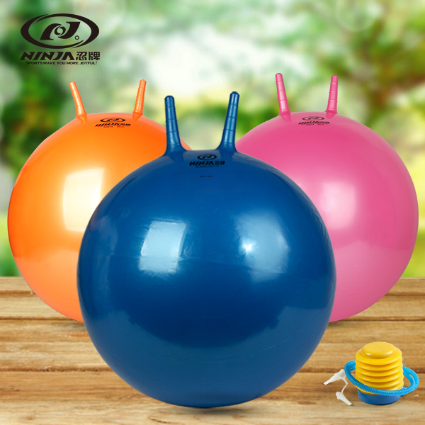 忍牌成人羊角球加厚防爆跳跳球65cm瑜伽球健身球运动送充气泵