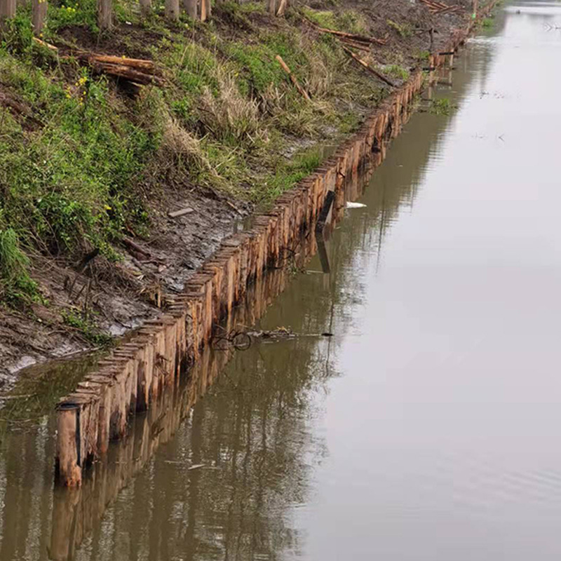 上海杉木桩 河道打桩 3米 河道木桩工程批发林场直发