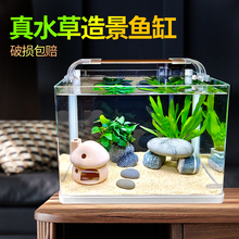 真水草造景鱼缸 超白玻璃生态免换水家用客厅小型桌面水族箱
