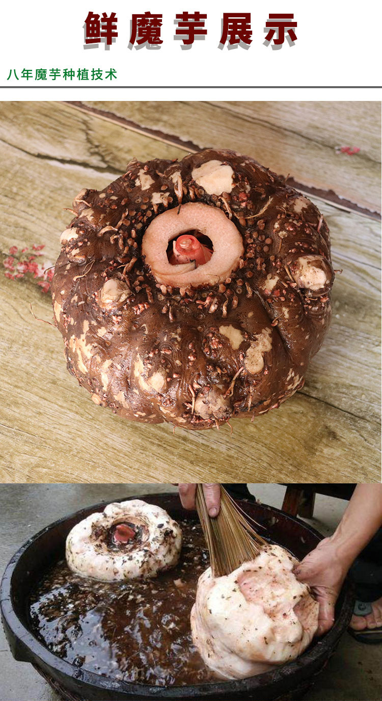 甜魔芋 云南甜魔芋 直接煮吃的魔芋 新鲜甜魔芋