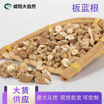 库存现货板蓝根 菘蓝 山蓝 大蓝根 马蓝根食品原料大货批发定制