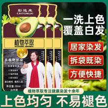 抖音爆品牛油果泡泡染发剂植物萃取温和不刺激染发膏独立袋装30毫