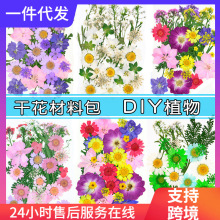 干花材料包压花混合植物真花DIY滴胶手机壳押花手工跨境速卖通鲜