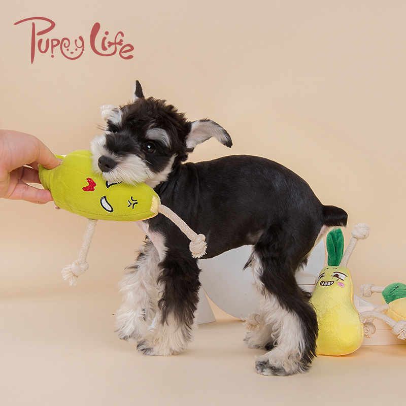 Sound Plush Pet Dog Toy Fruit Bends and Hitches Dog Bite Interactive Toy Dog Home Play Supplies