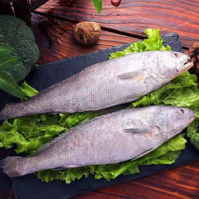 新鲜深海野生米鱼斤顺风包邮 冷冻鳘鱼大鮸鱼敏鱼冰