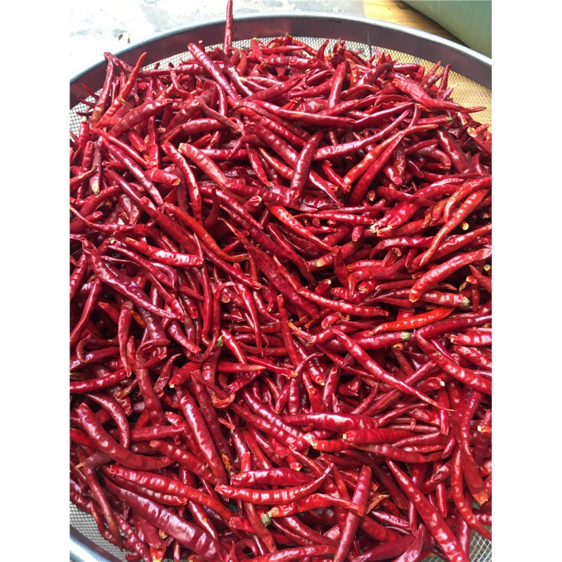 云南丘北干辣椒500g 干红辣椒香辣 微辣丘北辣椒干货 邱北干辣子