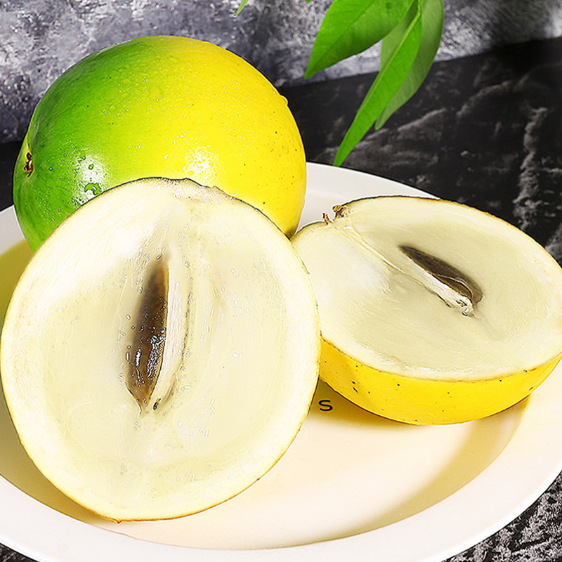 黄晶果顺丰包邮新鲜现摘冬蜜黄晶果香甜多汁黄金牛奶果稀有水果