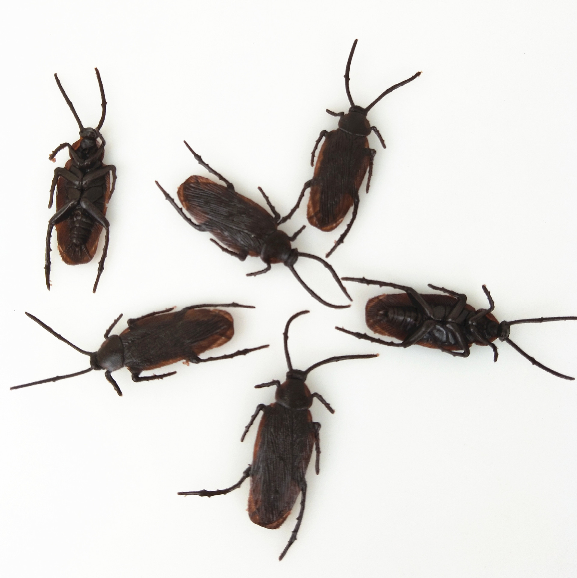 跨境供应万圣节整蛊玩具蟑螂仿真蟑螂鬼节派对整人恶搞