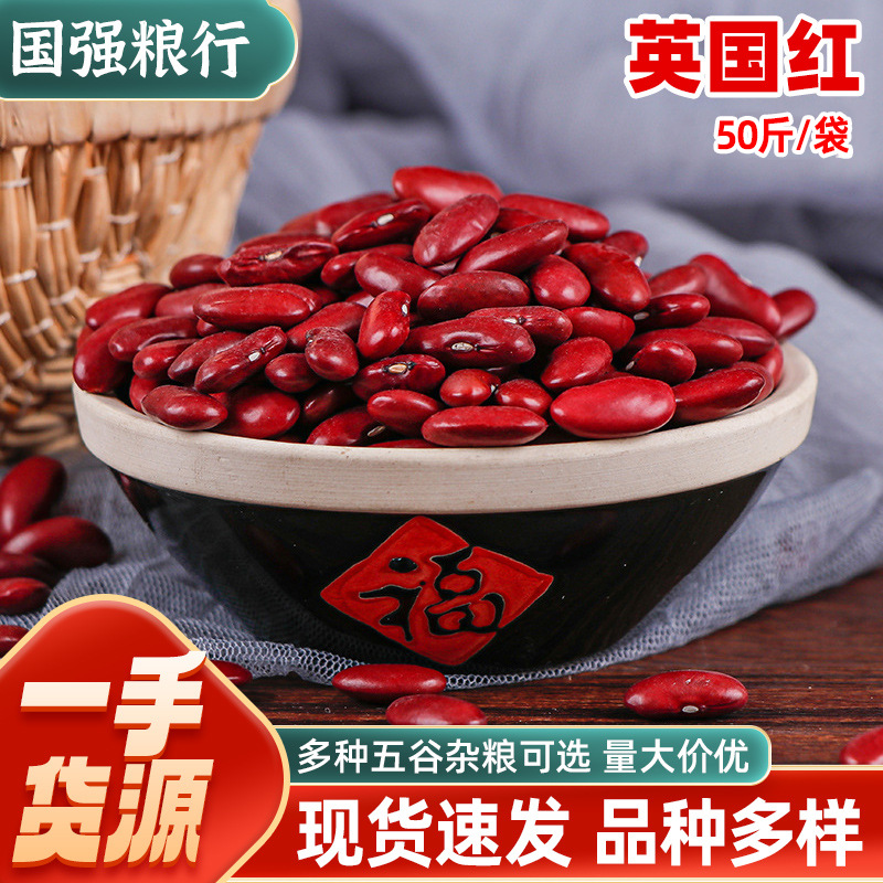 英国红芸豆红腰豆 大红芸豆五谷粗杂粮豆浆花豆 熬粥馅料煮粥食材
