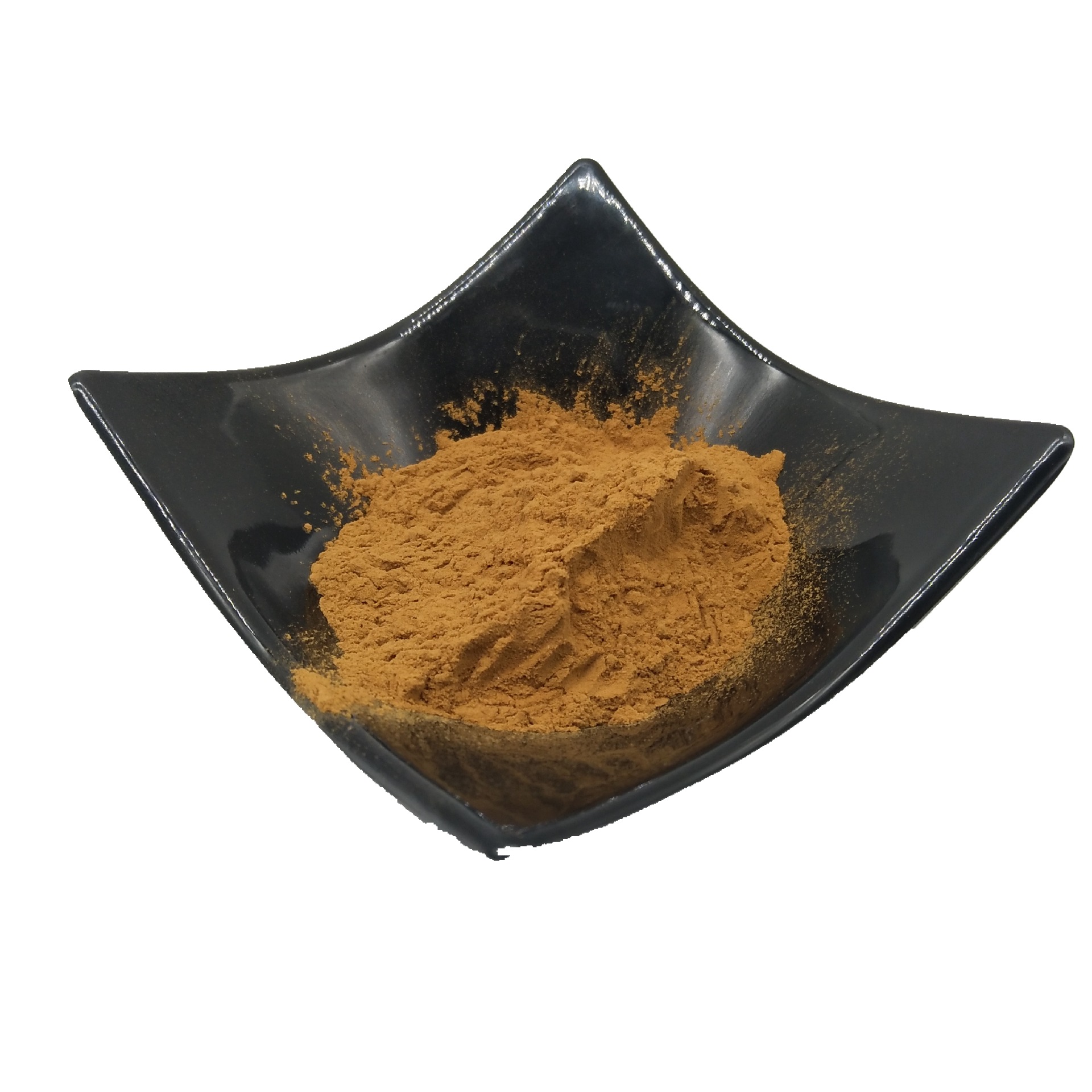 猪胆粉 猪去氧胆酸>16% 猪胆汁粉 中药材原料 厂家现货