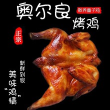 烤鸡奥尔良整只秘制蜜汁炸鸡烧烤食材网红手扒鸡童子鸡半成品包邮